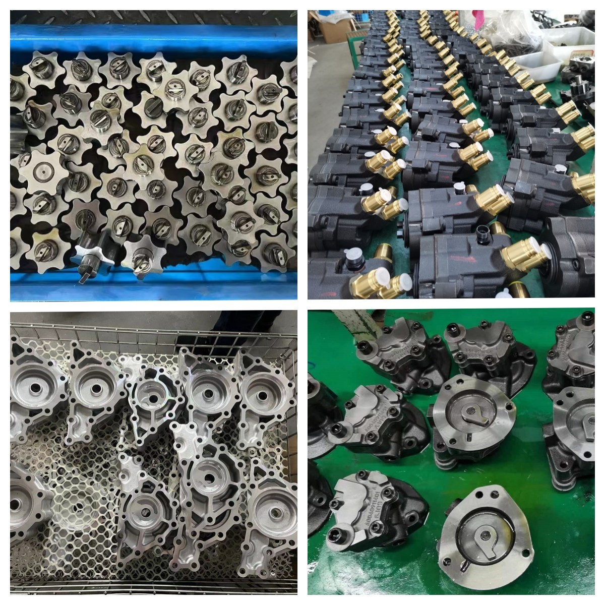 الصين Taizhou Lanqing Oil Pump Co.,Ltd ملف الشركة